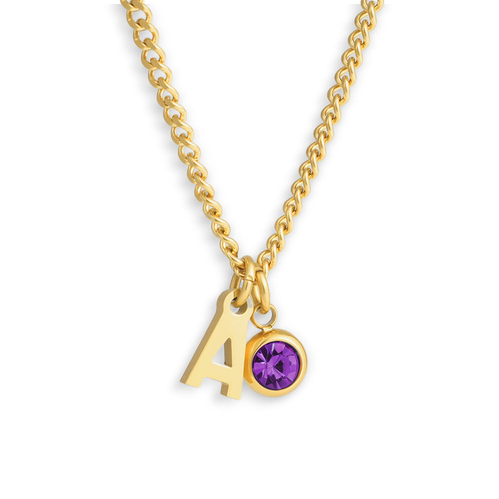 Custom/Personalized Initial Pendant Necklace w/ Birthstone - EVRYJEWELS