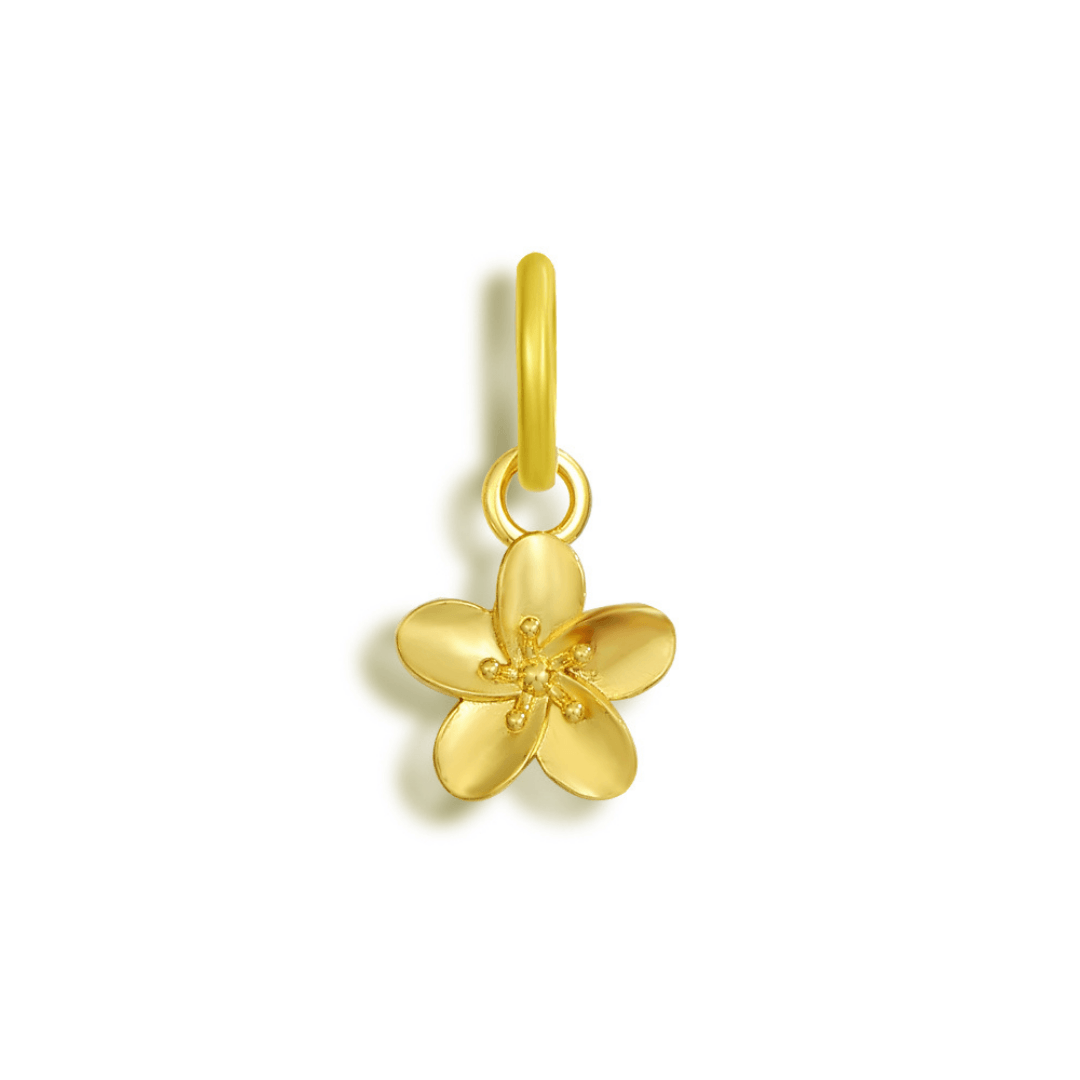 Hibiscus Bikini Charm