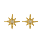Radiant Star Earrings - EVRYJEWELS